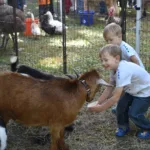 MSFF Kids Day in the Park